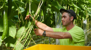 Mitarbeiter von Biogemüse Hegau