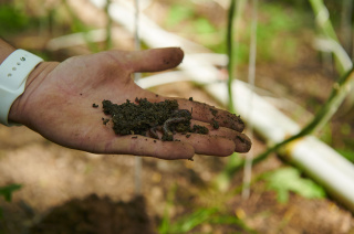 Humuserde - Biogemüse Hegau